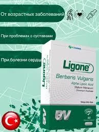 Ligone Berberis Vulgaris 60 Kapsül - Resim 3