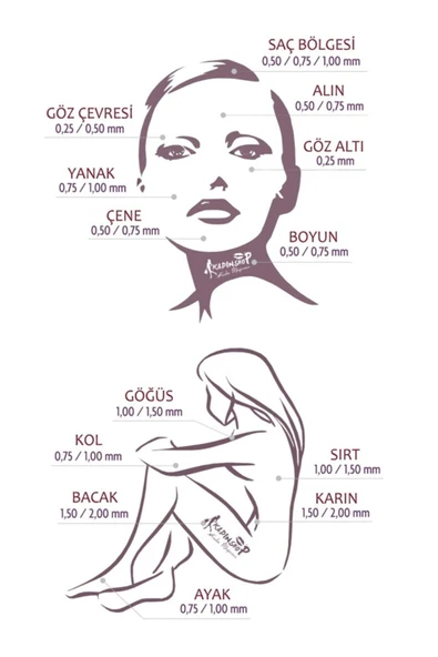 Hairon Plus Hairroller Platinium Titanyum 1200 Iğneli Vücut Için Derma Roller - 3