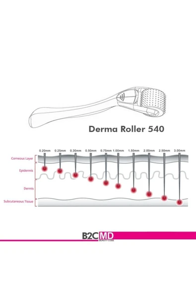 Hairon Plus Hairroller Platinium Titanyum 1200 Iğneli Vücut Için Derma Roller - 2