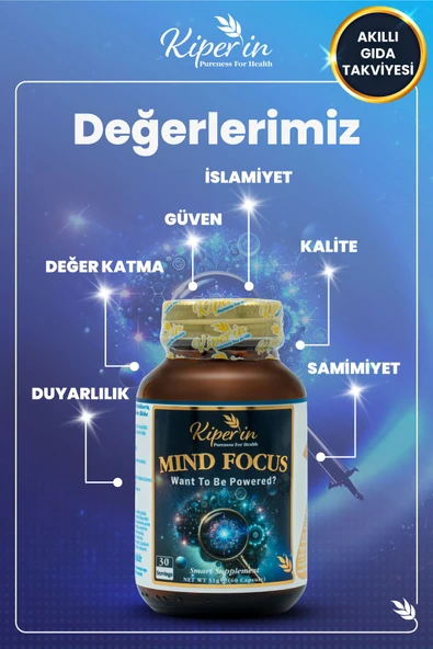 Mind Focus Aslan Yelesi Mantarı, Sitikolin, Rhodiola, L-Theanin .. (1440mg) | Akıllı Gıda Takviyesi 8682304243523 - 6