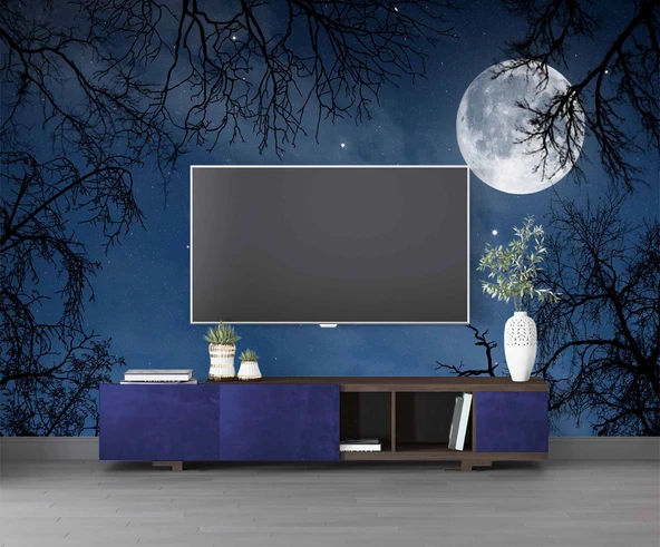 Gece, Ay ve Yıldız Gökyüzü Manzaralı Duvar Kağıdı - Resim 3