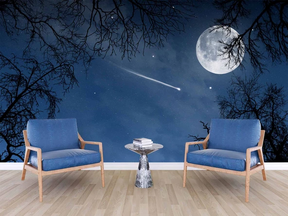 Gece, Ay ve Yıldız Gökyüzü Manzaralı Duvar Kağıdı - Resim 6