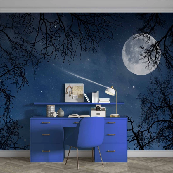 Gece, Ay ve Yıldız Gökyüzü Manzaralı Duvar Kağıdı - Resim 4
