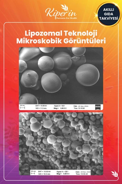MULTIVITAMIN Lipozomal Multivitamin 13 Vitamin & 6 Mineral Cilt - Saç - Tırnak & Enerji | Akıllı Gıda Takviyesi 8682304243530 - 6
