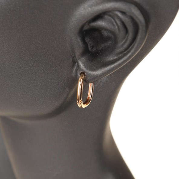 PT-GR TASARIM ZİRKON TAŞ DETAY KÜPE - 2