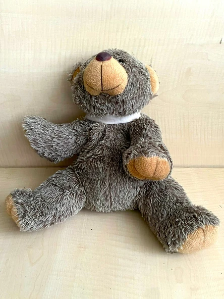 PELUŞ OYUNCAK PELUŞ AYICIK NO 54 - 2