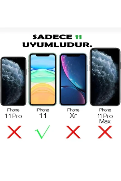 Iphone 11 Uyumlu Baklalı Desenli Kılıf - 2