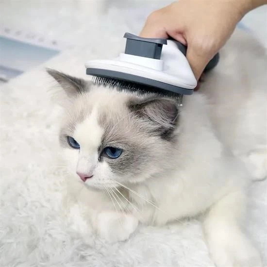 bujiland Kedi Köpek Tüy Toplayıcı Kendini Temizleyebilen Ergonomik Rahat Evcil Hayvan Tarağı Gri - 3