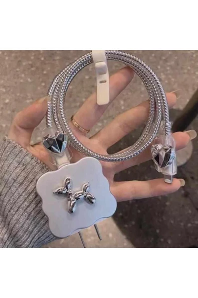 Şarj Koruyucu Kılıf Seti 0064 ürün görseli