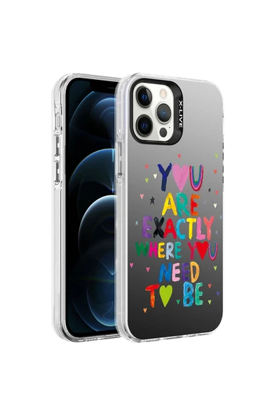 Iphone 12 Pro Max Kılıf Kamera Çıkıntılı Renkli Desenli Parlak Tasarımlı Sert Kapak (SİLVER)
