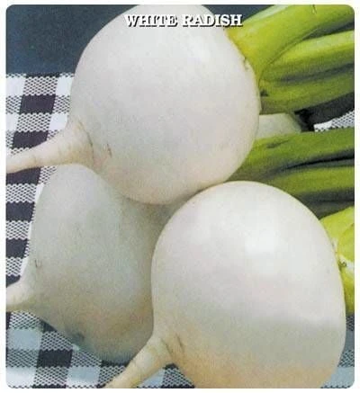 Doğal Geleneksel Anadolu Beyaz Turp Tohumu (50 tohum)