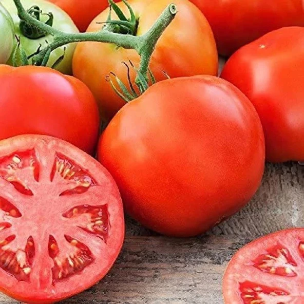 Doğal iri Meyveli Etli Oturak Ancon Domates Tohumu (50 tohum)