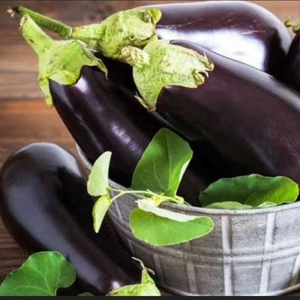 Doğal Geleneksel Kebablık Mangallık Antep Balcan Patlıcan Tohumu (70 tohum)