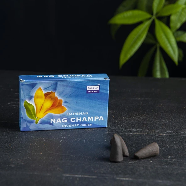 NAG CHAMPA KOKULU KONİK TÜTSÜ