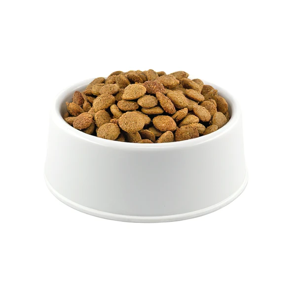 Advance Somonlu Yetişkin Köpek Maması 1 Kg Açık