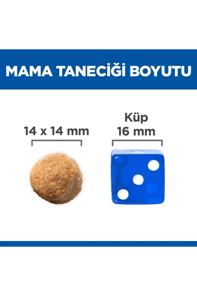 Hills Adult Large Breed Kuzu Etli Büyük Irk Yetişkin Köpek Maması 14 Kg - 2