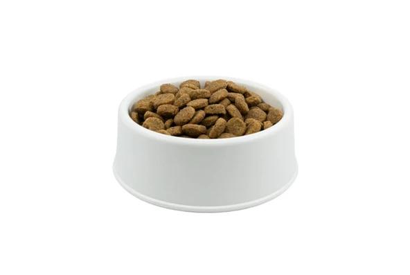 Hills Kuzulu Yetişkin Köpek Maması 1 Kg Açık
