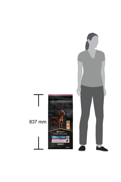 Proplan Büyük Irk Somonlu ve Pirinçli Yetişkin Köpek Maması 14 kg ürün görseli