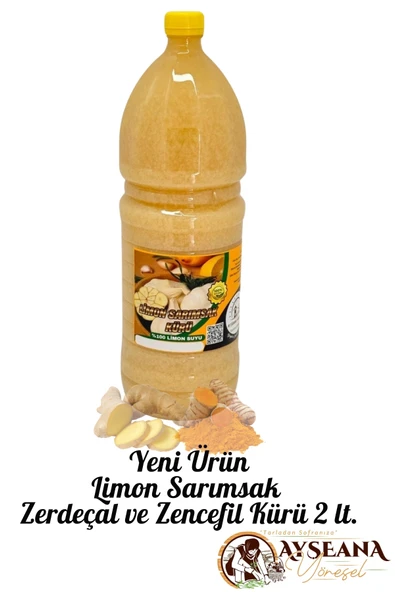 Limon Sarımsak Zencefil Zerdeçal Kürü (2 Litre) - 2