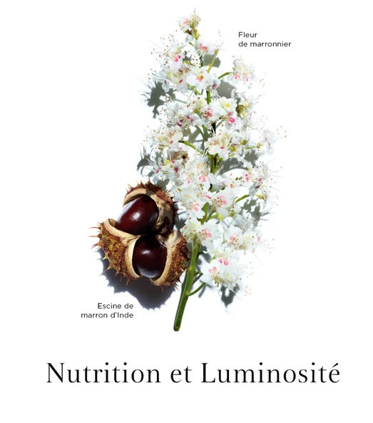 Clarins Clr Nutri-Lumiere Night Cream - Gece Bakım Kremi 50 ml - 3