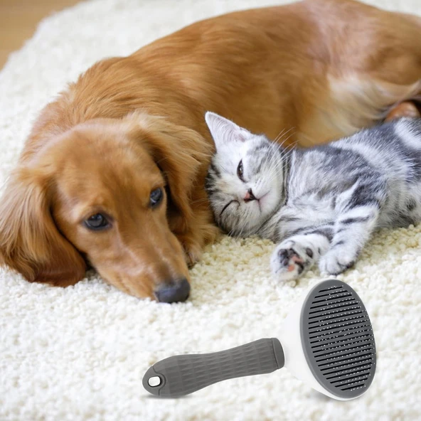 Kedi Köpek Tüy Toplayıcı  Pet Tarak 20 cm - 4