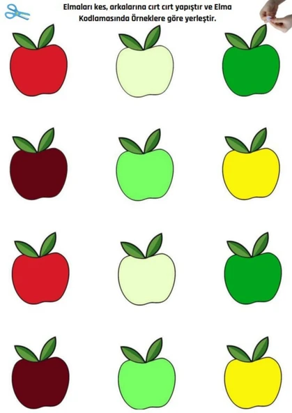 Cırt Cırtlı Renk KODLAMA YAZ-SİL Eğitim Seti - 5