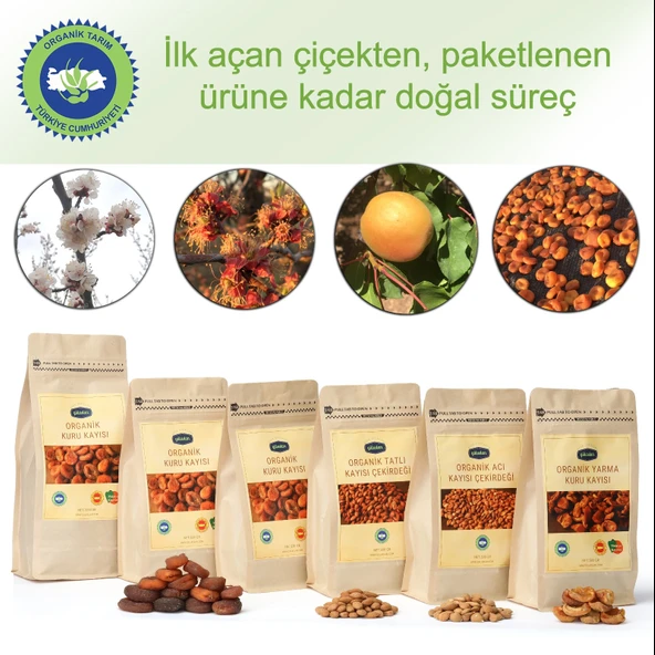 Gülaslan Organik Kuru Kayısı - 4