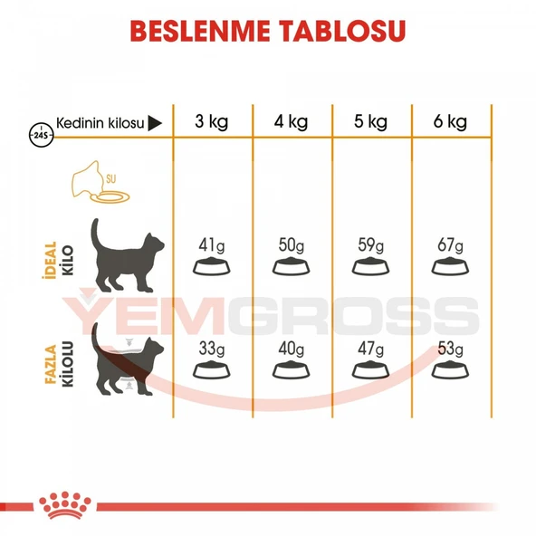 Royal Canin Hair & Skin Care Yetişkin Kedi Maması 4 Kg - Tüy ve Deri Sağlığı İçin Özel Formül - 4