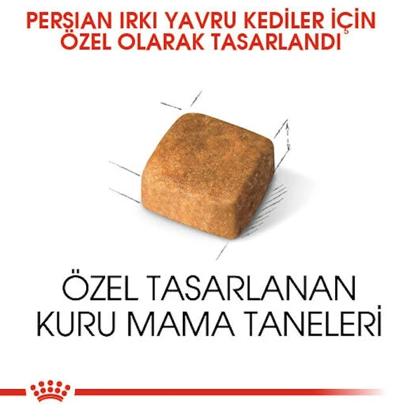 Royal Canin Persian Kitten Yavru İran Kedi Maması 2 Kg - 8