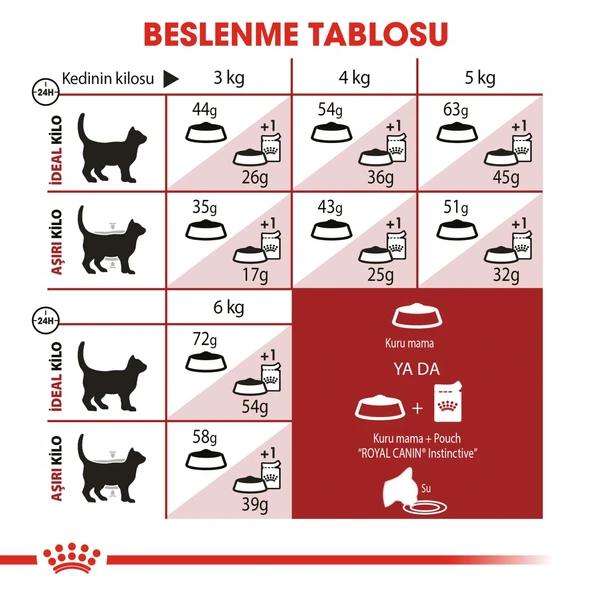Royal Canin Fit 32 Yetişkin Kedi Maması 400 Gr - 5