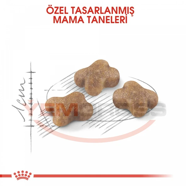 Royal Canin Kitten Yavru Kedi Maması 10 Kg - Resim 3