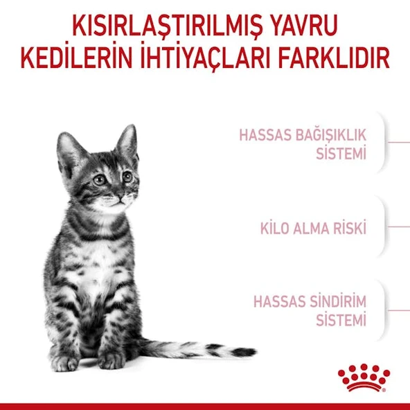 Kitten Steril Yavru Kedi Maması 2 Kg - Resim 5