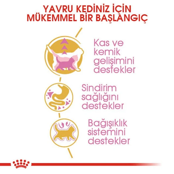 Royal Canin British Shorthair Kitten Yavru Kedi Maması 2 Kg - Resim 4