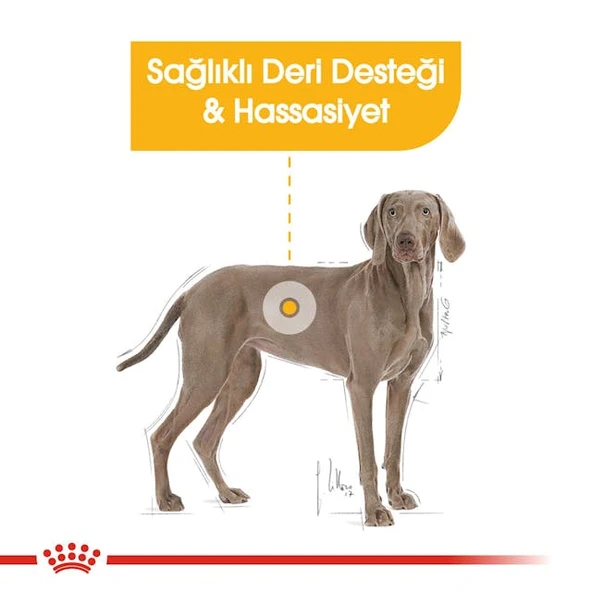 Royal Canin Maxi Dermacomfort Adult Yetişkin Köpek Maması 12 Kg - 7