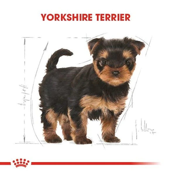 Royal Canin Yorkshire Terrier Puppy Yavru Köpek Maması 1,5 Kg - Resim 8