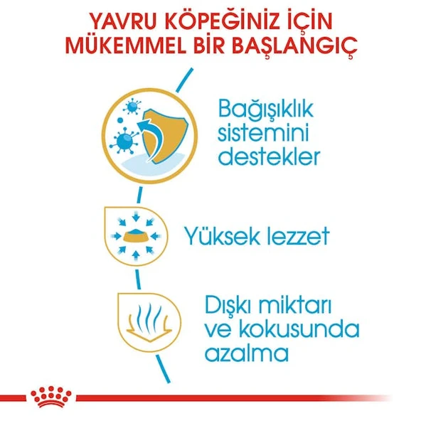 Royal Canin Chihuahua Puppy Yavru Köpek Maması 1,5 Kg - Resim 4