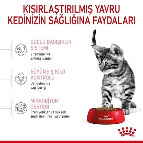 Kitten Steril Yavru Kedi Maması 2 Kg - Resim 6