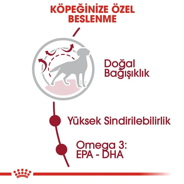 Royal Canin Medium Adult Orta Irk Yetişkin Köpek Maması 15 Kg - 6