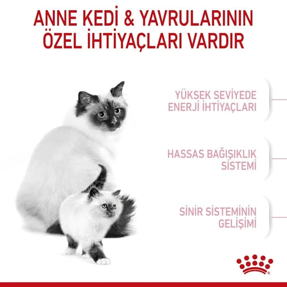 Royal Canin Mother & Babycat Anne ve Yavru Kedi Maması 2 Kg - 6