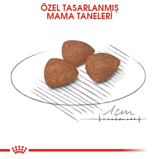 Royal Canin Mini Puppy Küçük Irk Yavru Köpek Maması 4 Kg - Resim 7