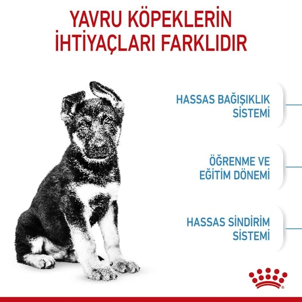 Royal Canin Maxi Puppy Büyük Irk Yavru Köpek Maması 15 Kg. - 4