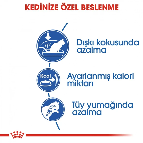 Royal Canin Indoor 27 Ev Kedileri İçin Yetişkin Kedi Maması 400 Gr - 4