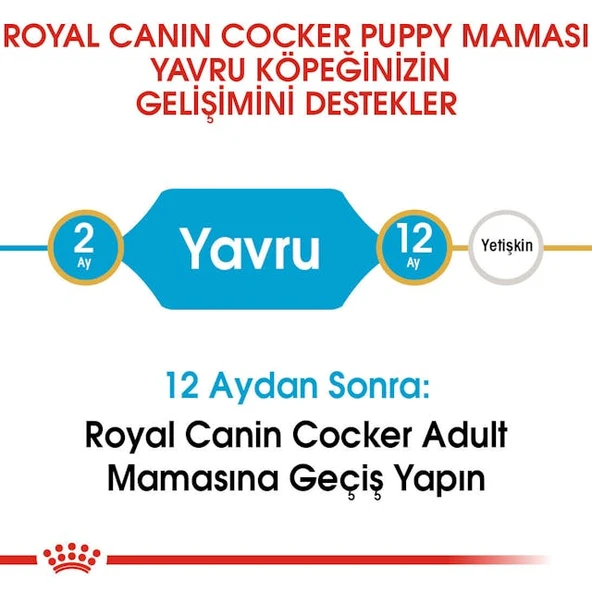 Royal Canin Cocker Junior Puppy Yavru Köpek Maması 3 Kg - 5
