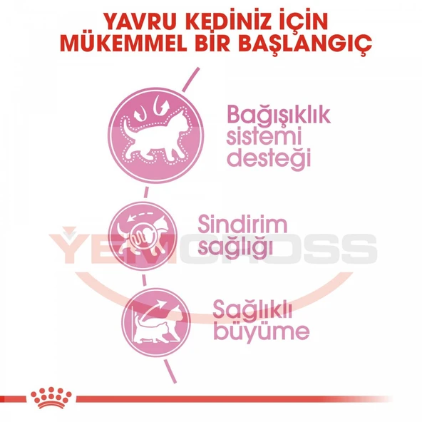 Royal Canin Kitten Yavru Kedi Maması 10 Kg - Resim 5