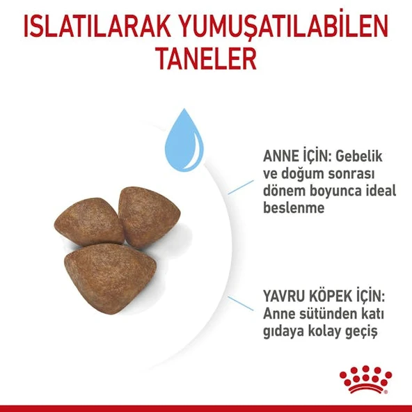 Royal Canin Mini Starter Küçük Irk Anne ve Yavru Köpek Maması 4 Kg - Resim 7