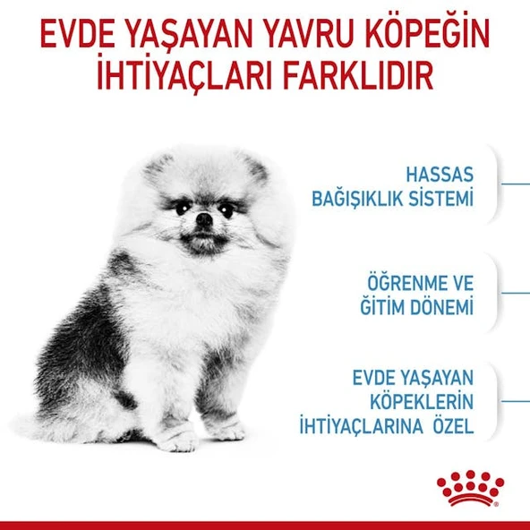 Royal Canin Mini Indoor Puppy Küçük Irk Yavru Köpek Maması 1,5 Kg - Resim 7