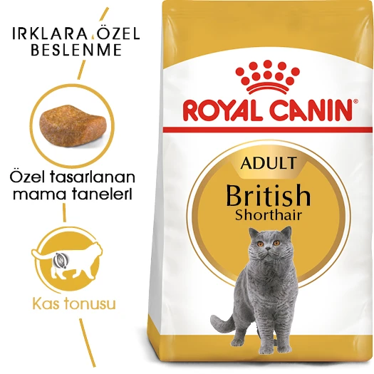 Royal Canin British Shorthair Adult Yetişkin Kedi Maması 10 Kg ürün görseli