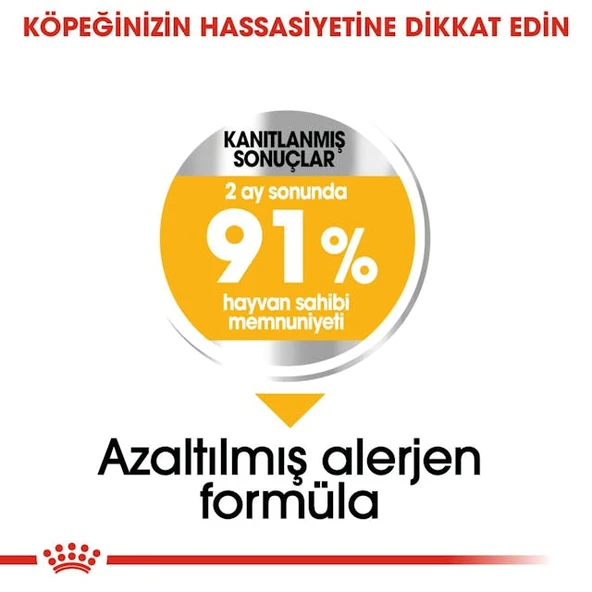 Royal Canin CCN Mini Dermacomfort Adult Küçük Irk Yetişkin Köpek Maması 3 Kg - 7