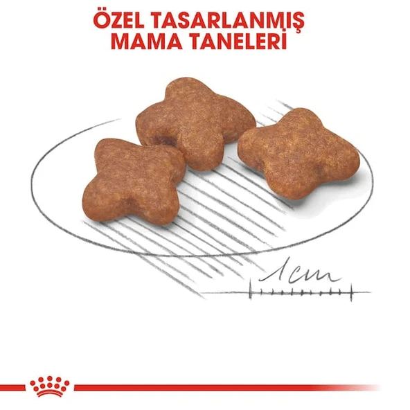 Royal Canin Mini Adult 8+ Küçük Irk Yetişkin Yaşlı Köpek Maması 2 Kg - 5