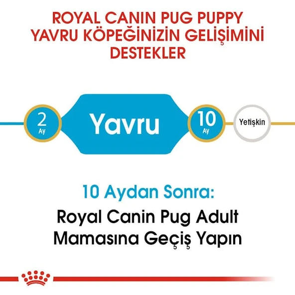 Royal Canin Pug Puppy Yavru Köpek Maması 1,5 Kg - Resim 5